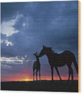 Mustang And Foal At Sunset Wood Print