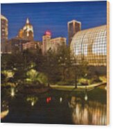 Myriad Gardens Wood Print