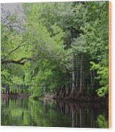 Mystical Withlacoochee River Wood Print