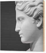 National Portrait Gallery Statue Profile Wood Print