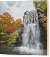 National Zoo Waterfall Wood Print