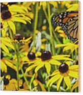 Monarch Butterfly On Yellow Flowers Wood Print