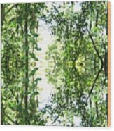 Mirrored Green Wood Print