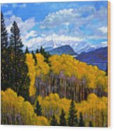 Natures Patterns - Rocky Mountains Wood Print