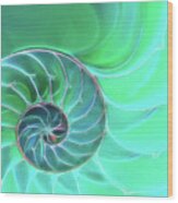 Nautilus Aqua Spiral Wood Print