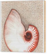Nautilus Shell Wood Print