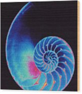 Nautilus Shell Wood Print