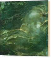 Nephrite Jade - Alien Sea Wood Print