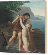 Nereid And A Young Man In A Seascape Wood Print
