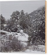 New Mexico Winter Wood Print