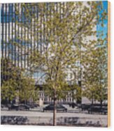 Trees On Fed Plaza Wood Print