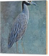 Night Heron Blues Wood Print