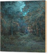 Night Wood Print