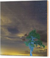 Night Sky Over Blue Cypress Lake Wood Print