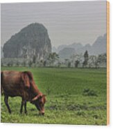 Ninh Binh Reserve Wood Print