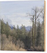 Northern Cascades 3 Wood Print