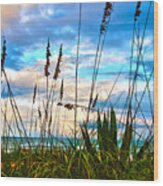 November Day At The Beach In Florida Wood Print