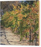 November In Wine Country Wood Print