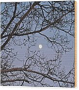 November Moon Wood Print