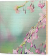 Blossom Breeze Wood Print