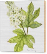 Oak Leaf Hydrangea Wood Print