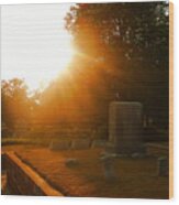 Oakland Cemetery In Atlanta Wood Print