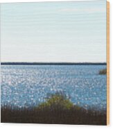 Ocean Springs Mississippi Wood Print