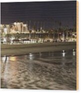 Oceanside Night Wood Print