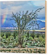 Ocotillo Cactus Rainbow Wood Print