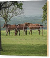 Oklahoma Horses Off Hwy 11 Wood Print