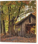 Old Autumn Shed Wood Print