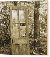 Old Door Wood Print