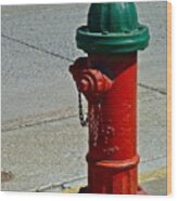 Old Fire Hydrant Wood Print