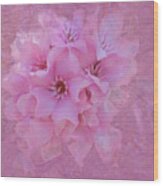 Oleander Blossoms Wood Print