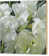 Oleander Mont Blanc 2 Wood Print