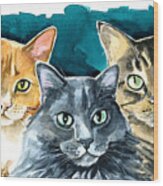 Oliver, Willow And Walter - Cat Painting Wood Print