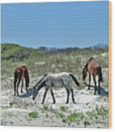 On The Beach With Wild Horses Wood Print