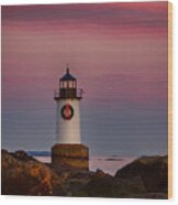 On The Rocks Fort Pickering Lighthouse Wood Print