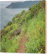 On The Trail To Vernazza Cinque Terre Italy Wood Print