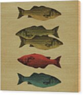 One Fish, Two Fish . . . Wood Print