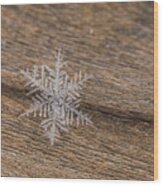One Snowflake Wood Print
