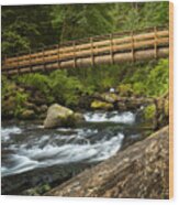 Oneonta Creek Crossing Wood Print