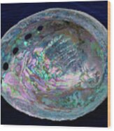 Opalescent Abalone Seashell On Blue Velvet Wood Print