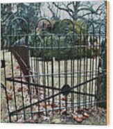 Open Cemetery Gate Wood Print