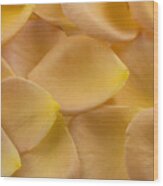 Orange And Yellow Rose Petal Texture Wood Print