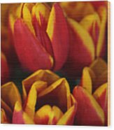 Orange And Yellow Tulips Wood Print
