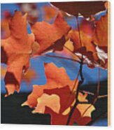 Orange Leaves Wood Print