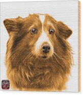 Orange Shetland Sheepdog Dog Art 9973 - Wb Wood Print