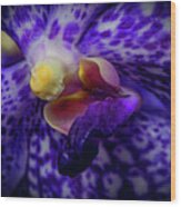 Orchid 2160tg Wood Print