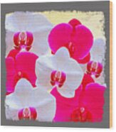 Orchid Canvas Wood Print